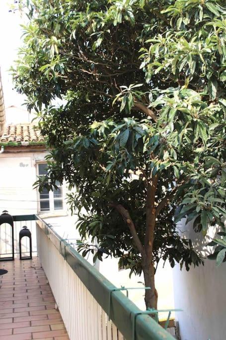 Spacieux Appartement 4 Couchages, Terrasse Privee Narbonne Dış mekan fotoğraf